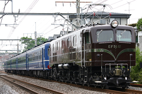 【JR東】EF58-61で行く新緑の碓氷峠号