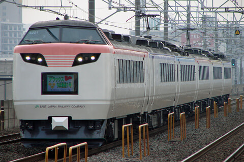 【JR東】デラックスちば漫遊号運転