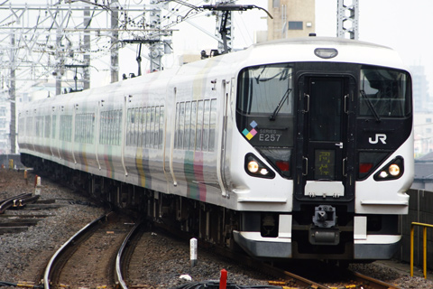 【JR東】E257系団臨で館山へ