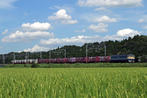 佐倉～物井