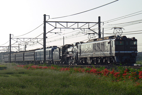 【JR東】EF64-1001牽引D51回送