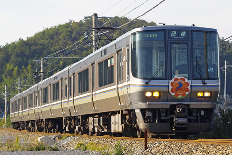 【JR西】223系V49編成ひまわり号