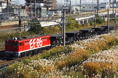 【JR東】EF65 1118牽引川崎貨物工臨