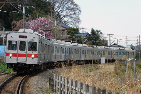 【東急】8000系8001F恩田へ