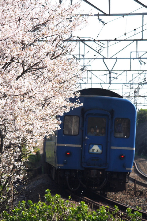 根府川～早川