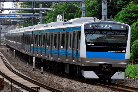 【JR東】E233系ウラ123編成 南浦和へ
