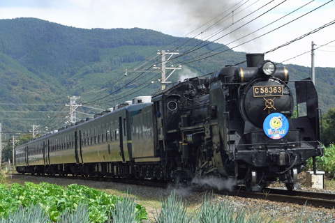 【秩鉄】パレオに「鉄道の日記念号」HM