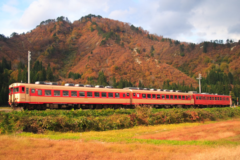 【JR東】只見紅葉号を運転