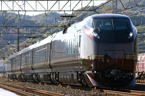 【JR東】E655系和団臨で伊東へ