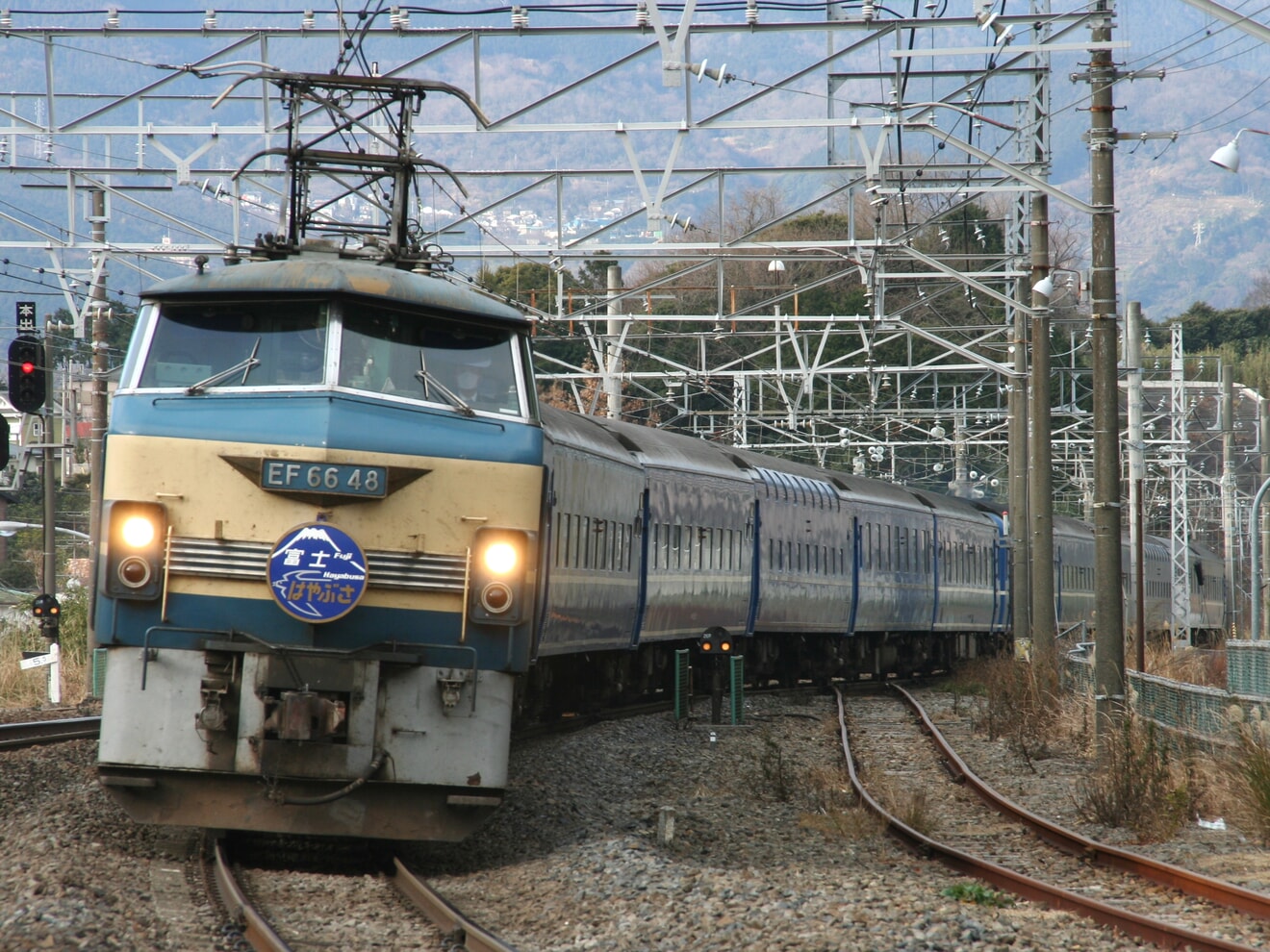 真鶴
