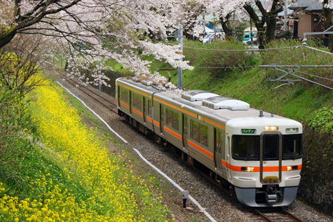 【特集】桜の写真2009