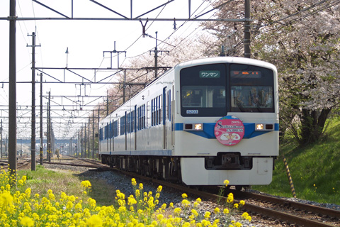 【秩鉄】急行芝桜号運転＠2009